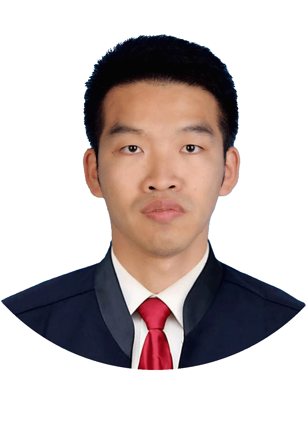杨文新律师